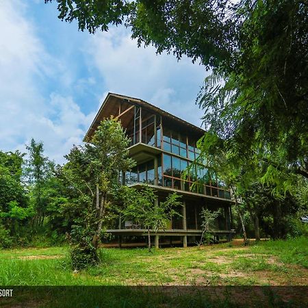 Wild Grass Nature Resort Sigiriya Eksteriør billede
